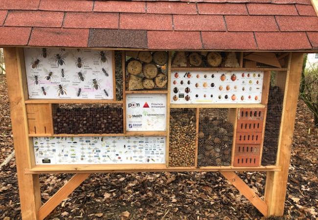 insectenhotel Herentals